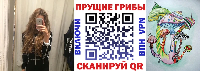кракен сайт  Волгоград  Галлюциногенные грибы ЛСД  дарнет шоп 